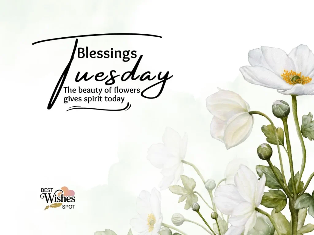 Tuesday Blessings for Work & Productivity