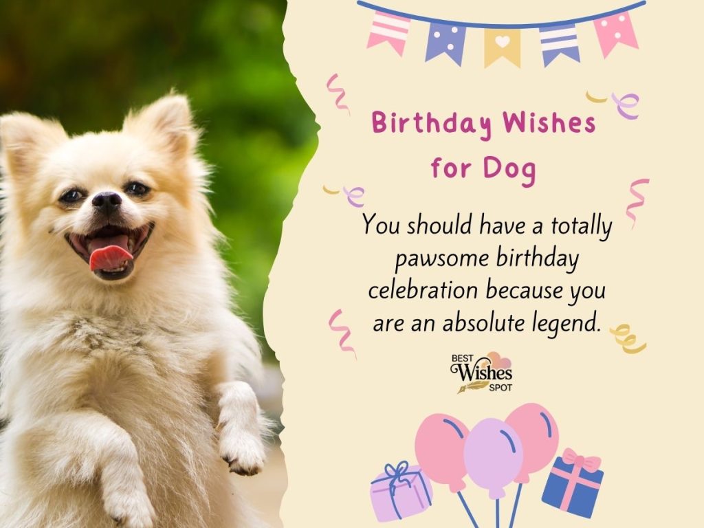 birthday wishes for dog 
